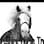 Hertfordshire Horse Trailers logo